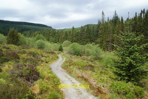 Buschland hafrenwald der - buschland, im