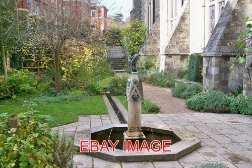 Foto queen eleanor garden - queen, eleanor's