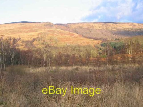 Foto 6x4 ross - 6x4,