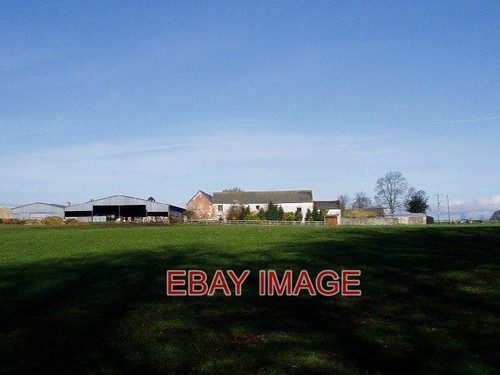 Foto ffynogion bauernhof - foto, der