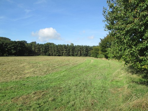 Foto 6x4 merton park - merton,