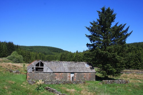 Foto 6x4 alter garwaldshiels - foto,