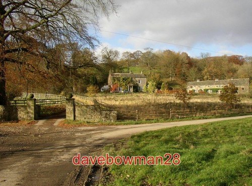 Foto winterburn wood farm - wood,