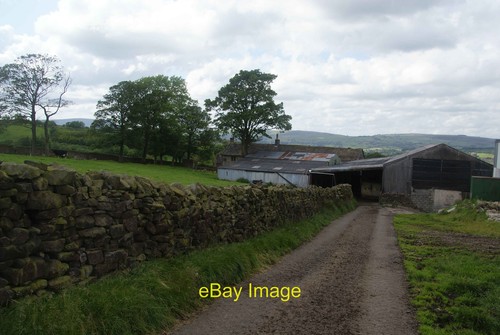 Foto 6x4 sweet clough - foto, farm