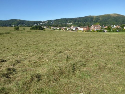 Foto 6x4 heuernte auf - 6x4,