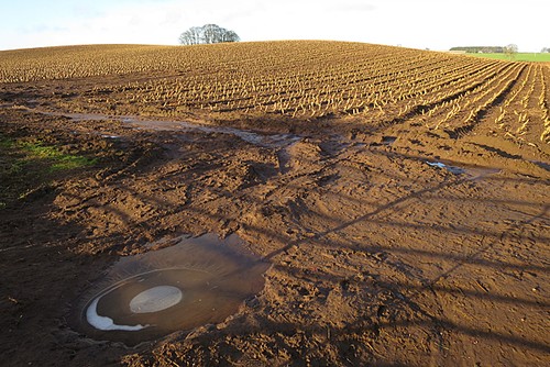 Foto 6x4 icy muddy field - icy,