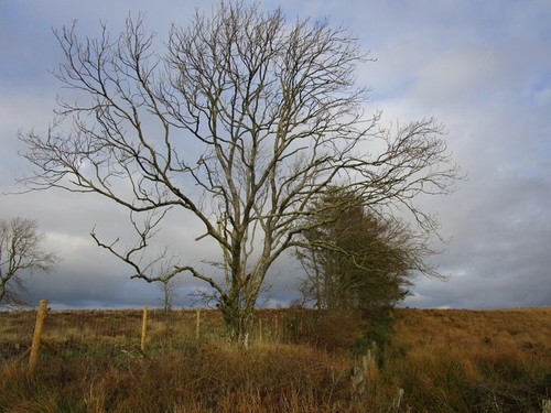 Foto 6x4 the edge - foto,