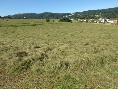Foto 6x4 heuernte auf malvern - foto,