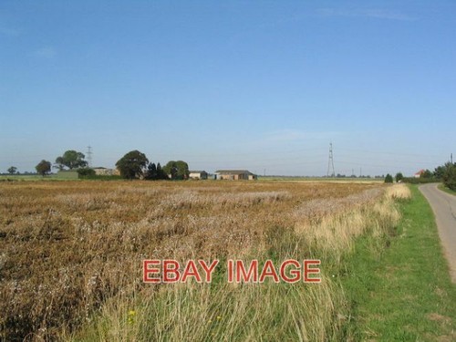 Foto woad farm die - woad,